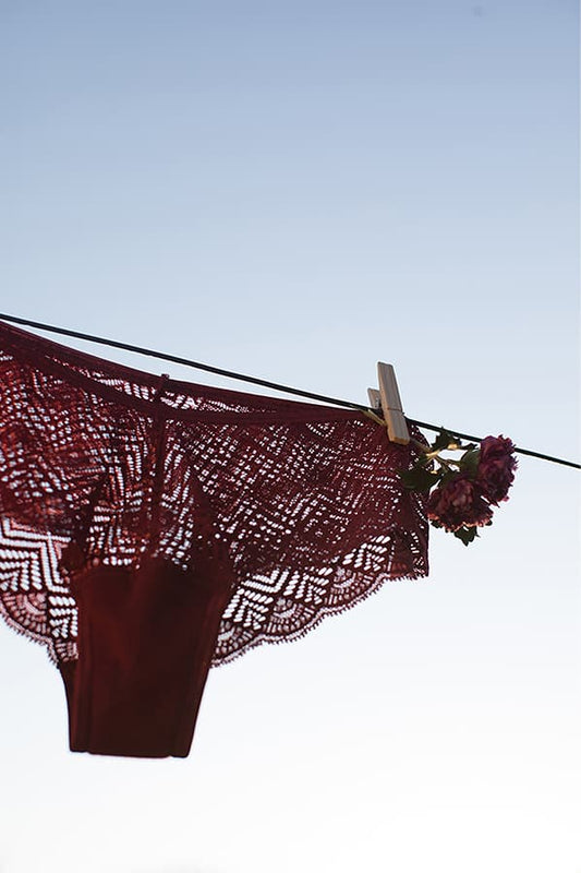 Une culotte bordeaux et une fleur en train de sécher en plein air attaché à la corde à linge.